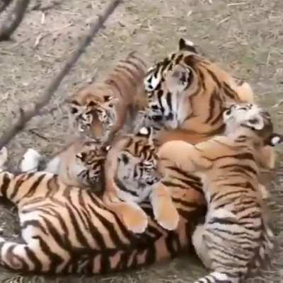 Family 🥰