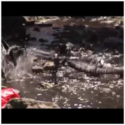 Just fuckin tossing bikes in the river bro