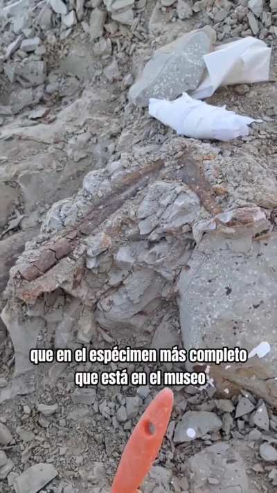 Proyecto multidisciplinario financiado por National Geographic