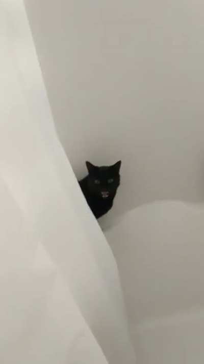 Sorry to interrupt, ma&rsquo;am.
