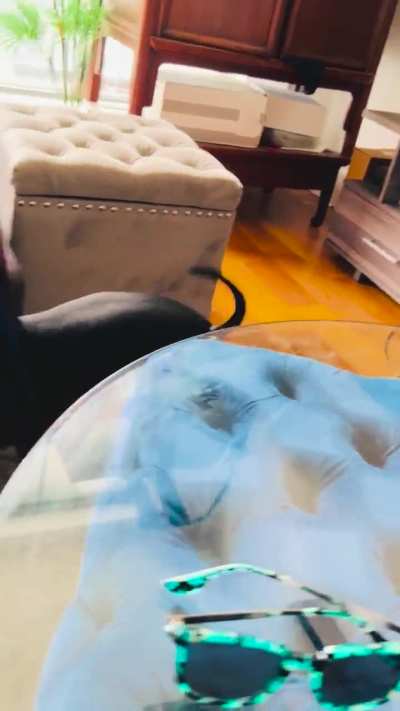 Nikko&rsquo;s very own Fetch concept