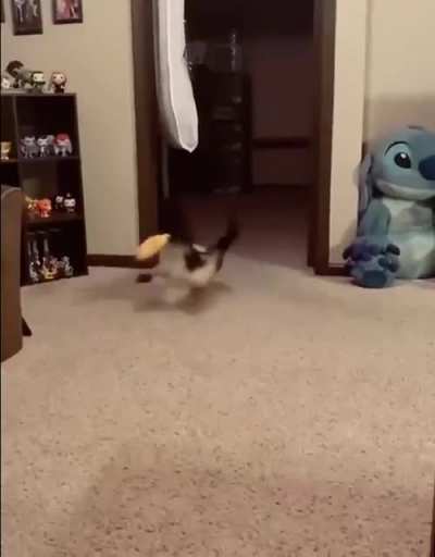 Advice how to entertain yourself by your own🤣