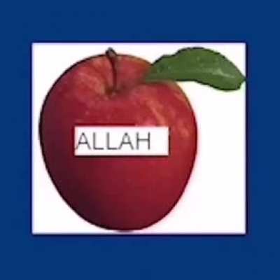 Amin