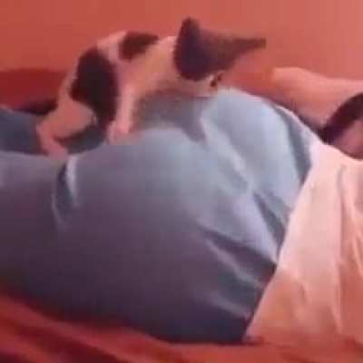 Butt attack. BUTTACK