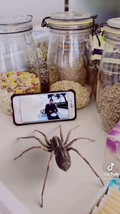 shitposting - Video #2850