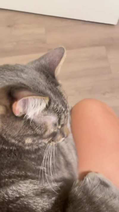 they won&rsquo;t let me poop alone