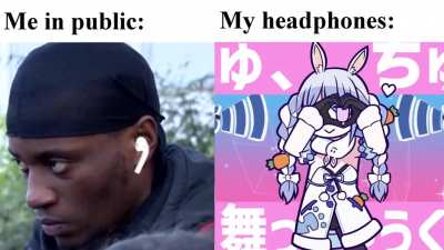 I haven't seen a hololive version of this meme yet so I did it myself