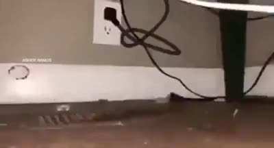 cursed hot pocket