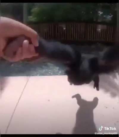 AaaaaaaAAAA
