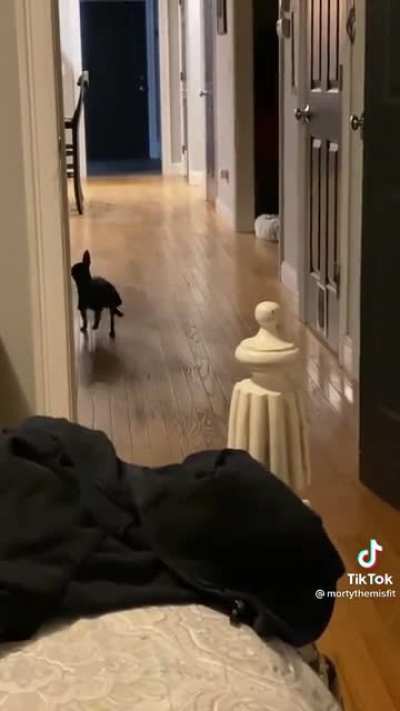 I promise you absolutely won&rsquo;t regret watching this