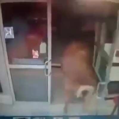 &iquest;Alguien pidi&oacute; un Red Bull?