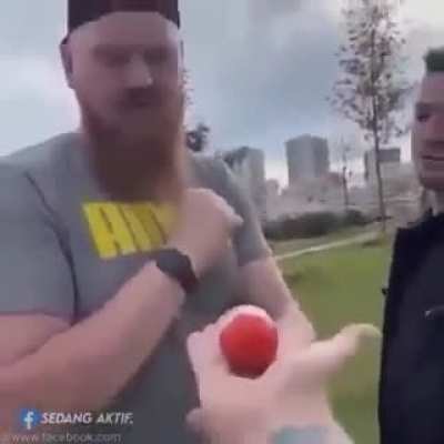 xd