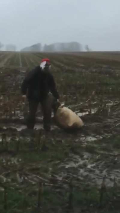 The reindeer are isolated as a precaution. This year🎅 has to go on foot.