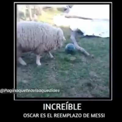 Simplemente &eacute;pico