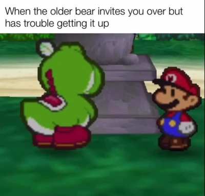 gay🐻.irl