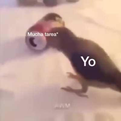 Yo &amp;gt;:3