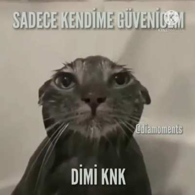 Sa&ccedil;ma motivasyon videosu izledikten sonra
