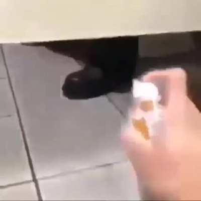 What the previous post said