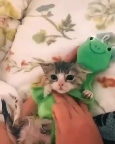 Beautiful cutie ❤️