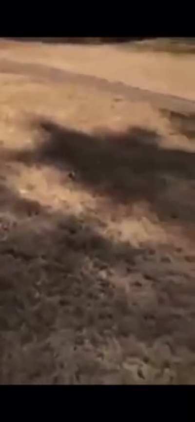 That one time Thouxanbanfauni&rsquo;s friend burnt down his moms lawn