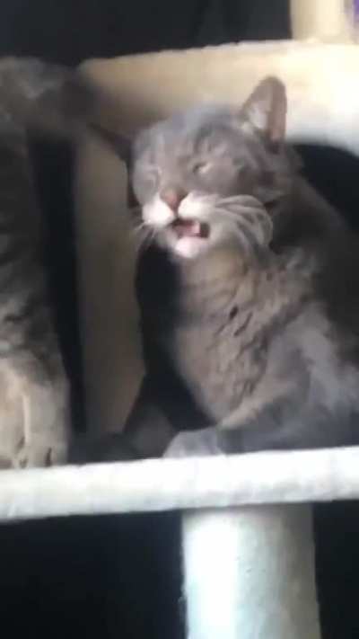 Christina's reaction after she gives in to Tom's requests
