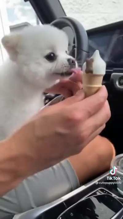 Video melts my heart. So cute!!!!!!