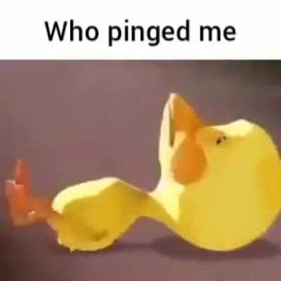 Me when the: