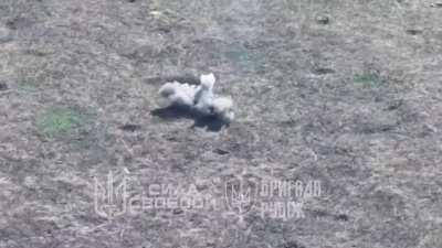 Ukrainian "Rubizh" and "Svoboda" units show recent drone strikes on Russian infantry and equipment. June/July 2024