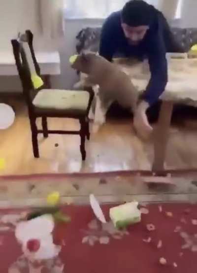 Food is running