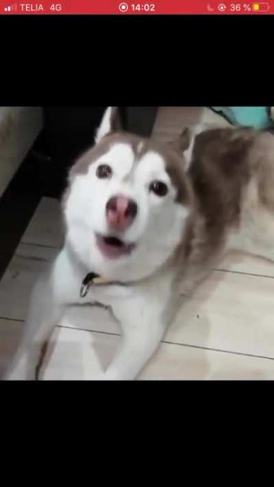 Jesus (Couldn&rsquo;t get rid of that annoying red bar up top, sorry)