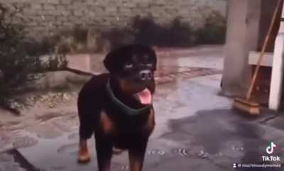 Don&lsquo;t hate him