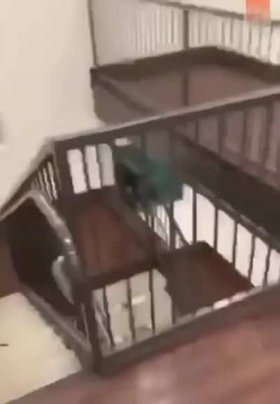 HMFT after "Hey i'm so buttery smooth, you wanna watch me slide down this banister?"