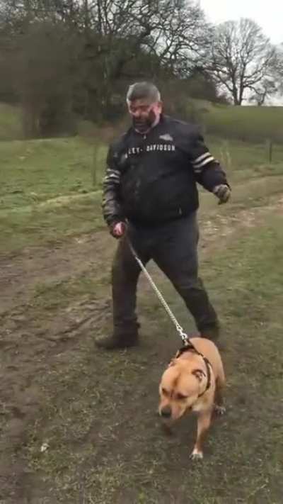 DBS taking your dog for a walk in the mud!