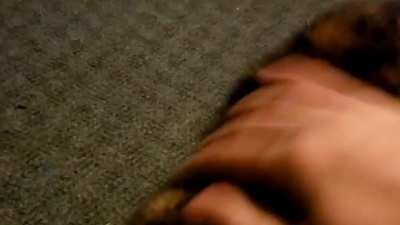 Everytime I pet my cat