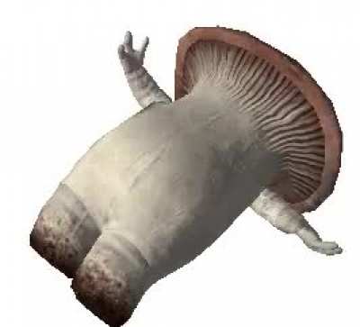 Blursed Fungus