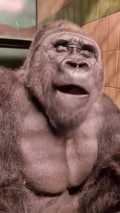 He heard it too