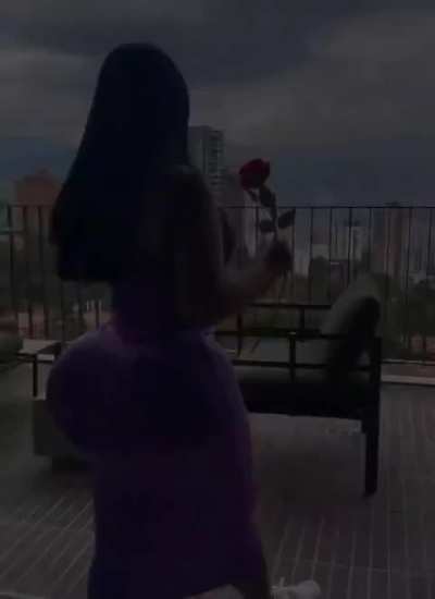 Roses