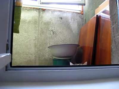Peeping Tom