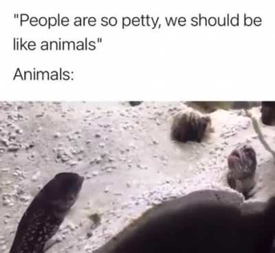 Faith in humans, restored