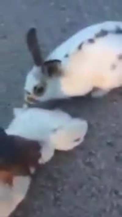 thats fucked up