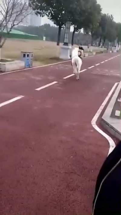 Fuck you.. anddd I&rsquo;m off.
