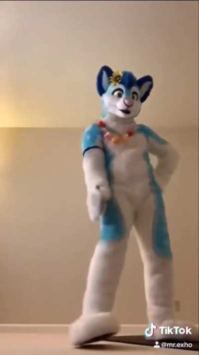 What&rsquo;s Tirox&rsquo;s thinking about?