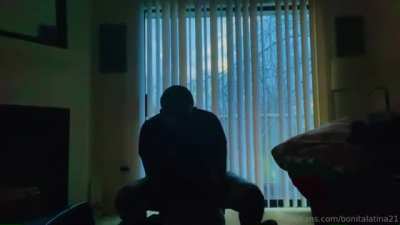 Silhouette Seshh 