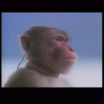 Listening to the last &ldquo;when I come back you&rsquo;ll still be here&rdquo;