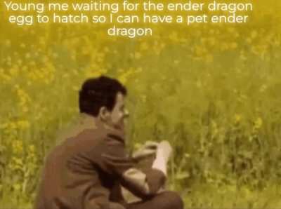 Repost because people really wanted a title on the meme also this is true I was stupid back then