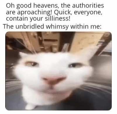tomfoolery rule