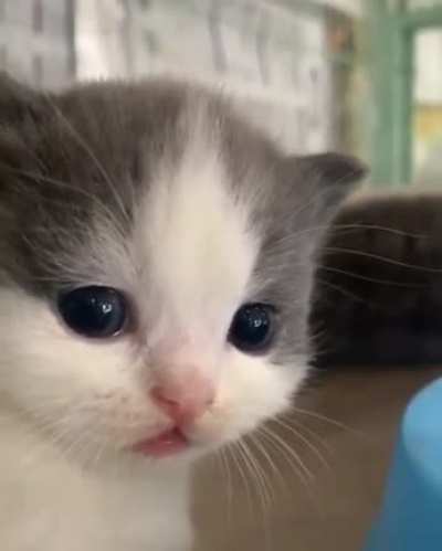 Me, when I wake up