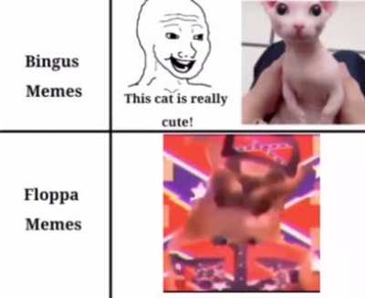 Floppa &amp;gt; Bingus