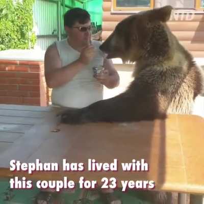 Bear with me