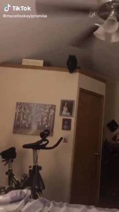 yo i think that cat died..